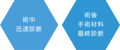 術中迅速診断・術後手術材料最終診断