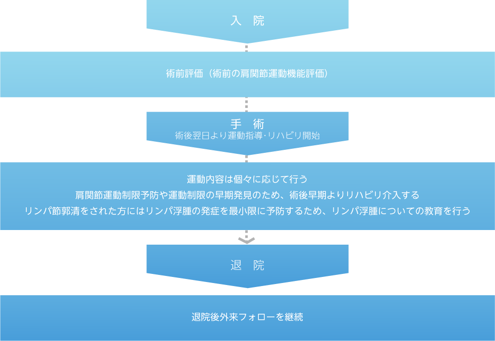 入院→術前の肩関節運動機能評価→手術→術後翌日より運動指導・リハビリ開始→運動内容は個々に応じて行う・肩関節運動制限予防や運動制限の早期発見のため、術後早期よりリハビリ介入する・リンパ節郭清をされた方にはリンパ浮腫の発症を最小限に予防するため、リンパ浮腫についての教育を行う→退院→退院後外来フォローを継続